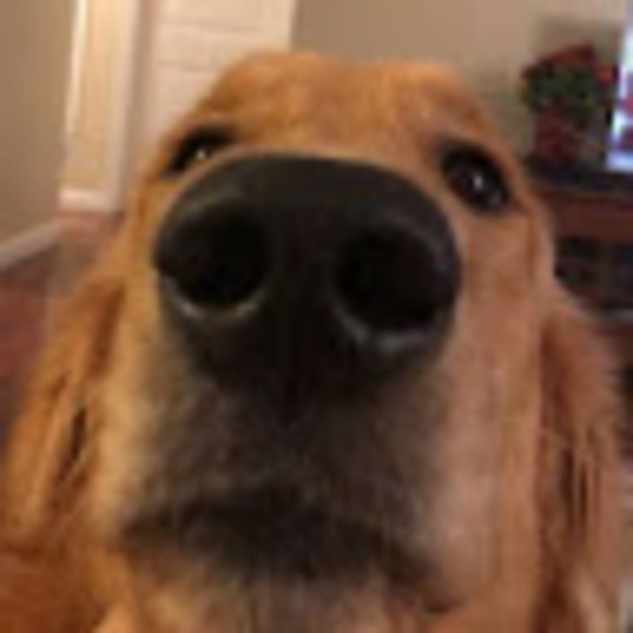 Meet your Posher, Caroline - Picture 1 of 1